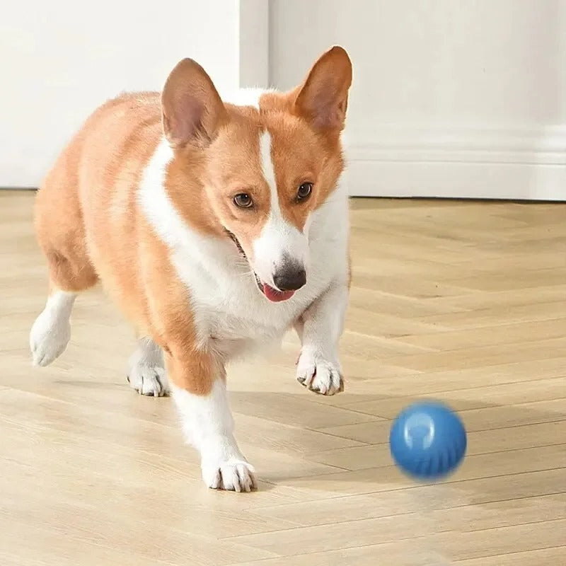 Bola de Salto Inteligente para Cães e Gatos