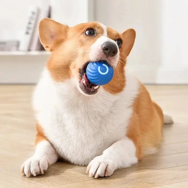 Bola de Salto Inteligente para Cães e Gatos