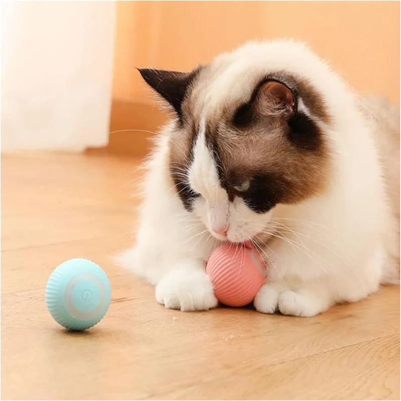 Bola de Salto Inteligente para Cães e Gatos
