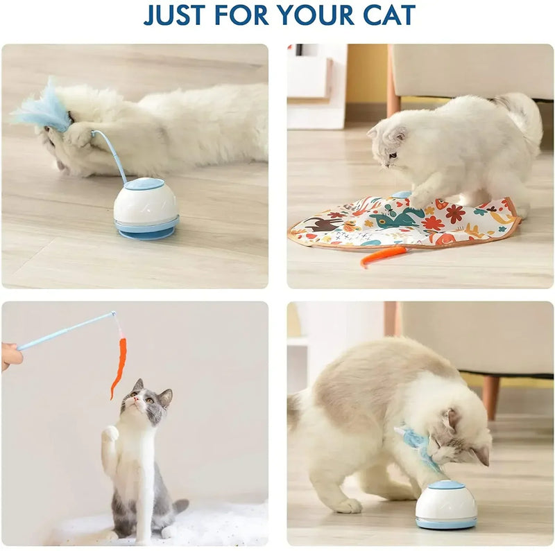 Brinquedos Interativos para Gatos